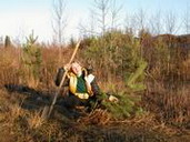 Velleni выкапывает сосну рядом с заброшенной военной базой в Котово/ digging out a pine near deserted military base nearby Kotovo